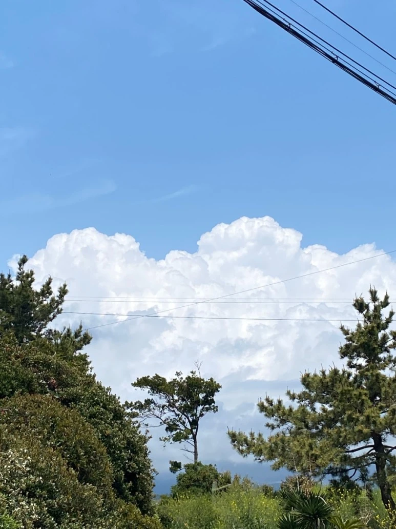 1649822942940%EF%BC%8D4.jpg?type=w773