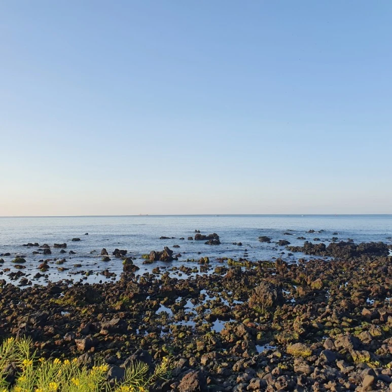 20220408%EF%BC%BF071608.jpg?type=w773