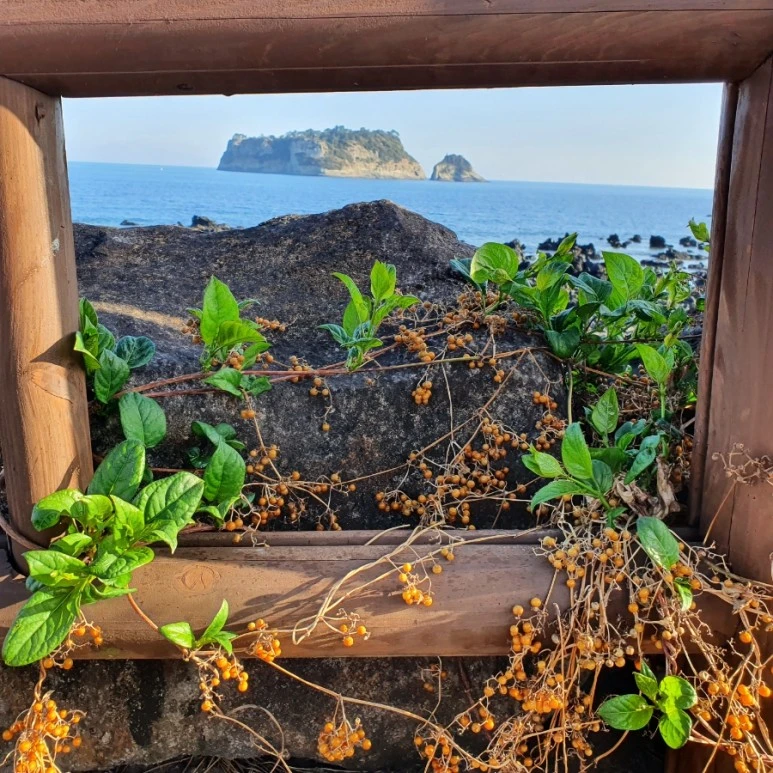 20220408%EF%BC%BF172352.jpg?type=w773