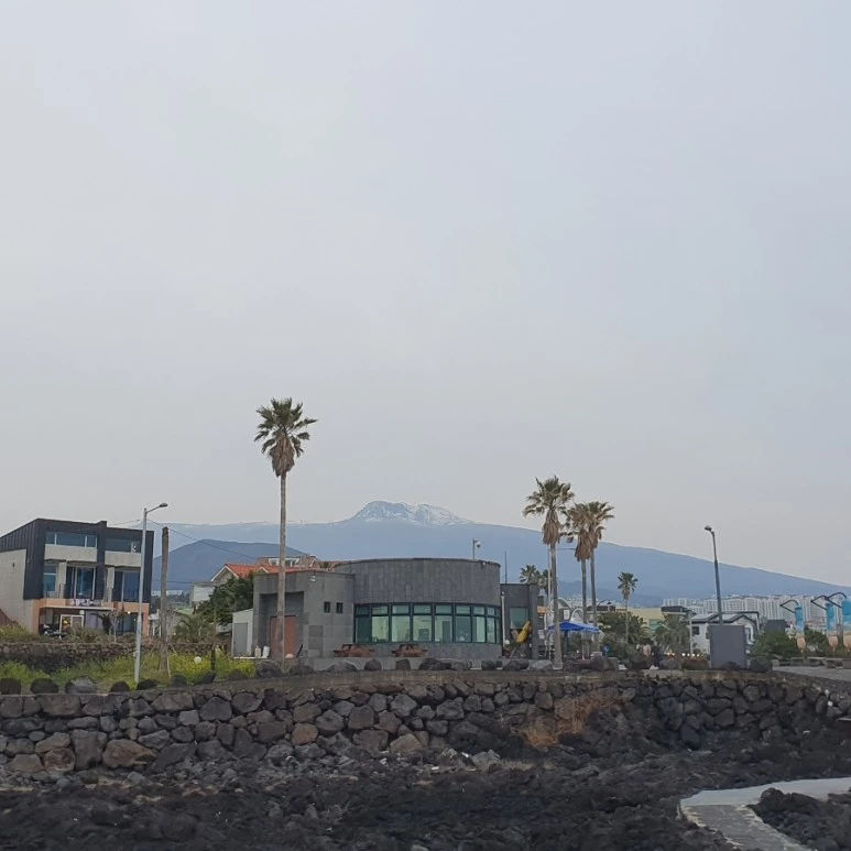 20220322%EF%BC%BF183256.jpg?type=w773