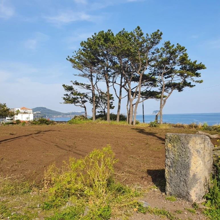 20220420%EF%BC%BF163332.jpg?type=w773