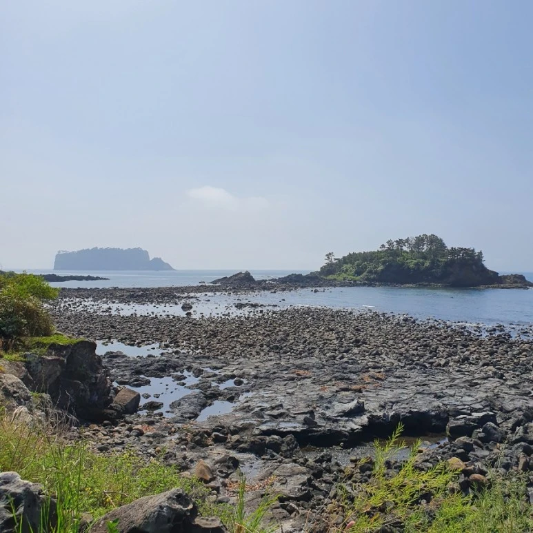 20220424%EF%BC%BF104615.jpg?type=w773