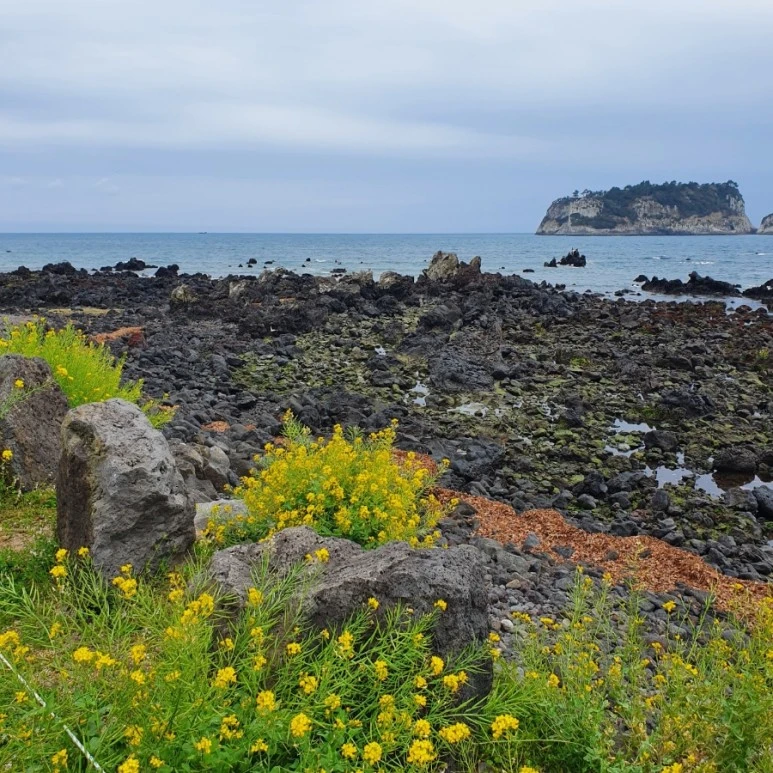 1653698224990.jpg?type=w773