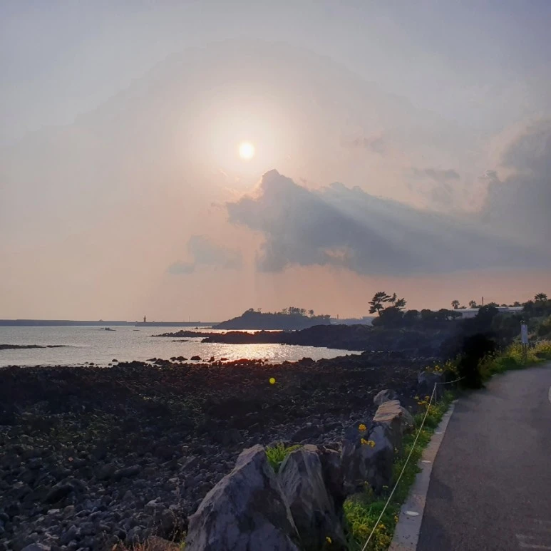 20220323%EF%BC%BF172022.jpg?type=w773