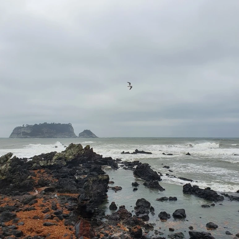 20220326%EF%BC%BF075940.jpg?type=w773