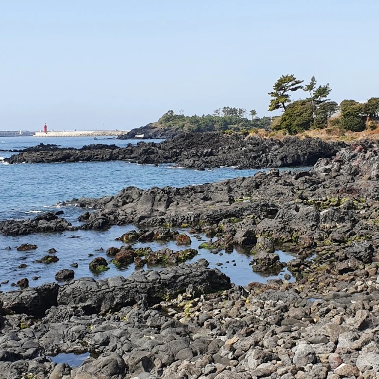 20220312%EF%BC%BF110525.jpg?type=w773