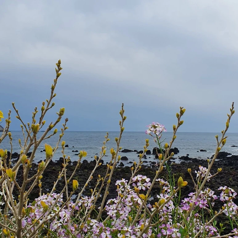 20220331%EF%BC%BF134127.jpg?type=w773