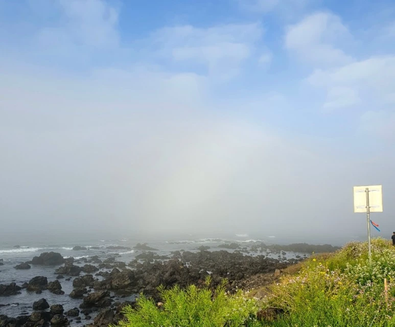 20220412%EF%BC%BF073519.jpg?type=w773