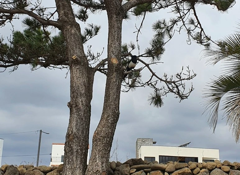 20220320%EF%BC%BF111258.jpg?type=w773