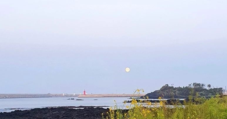 20220417%EF%BC%BF055842.jpg?type=w773