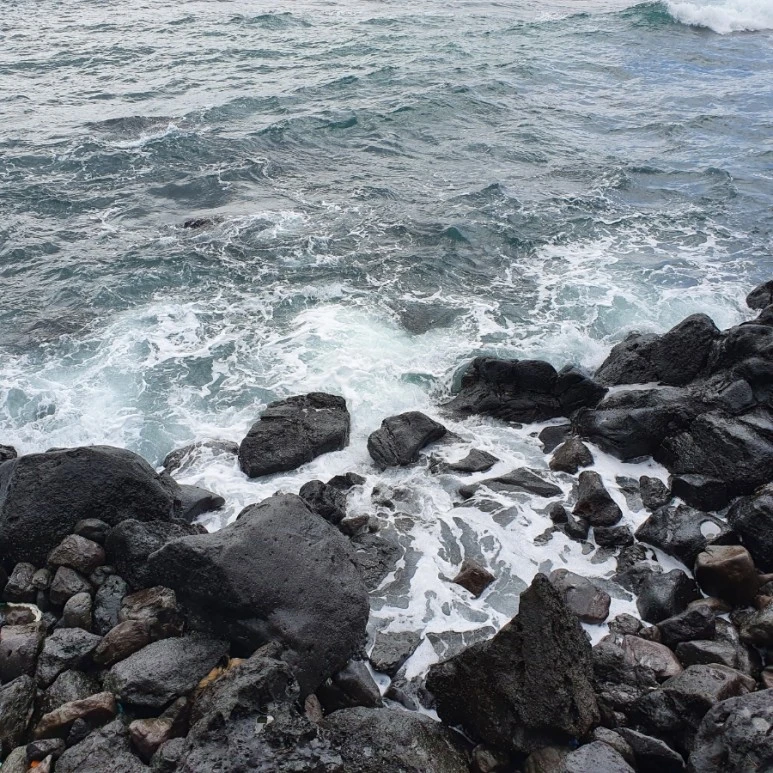 20220318%EF%BC%BF114756.jpg?type=w773