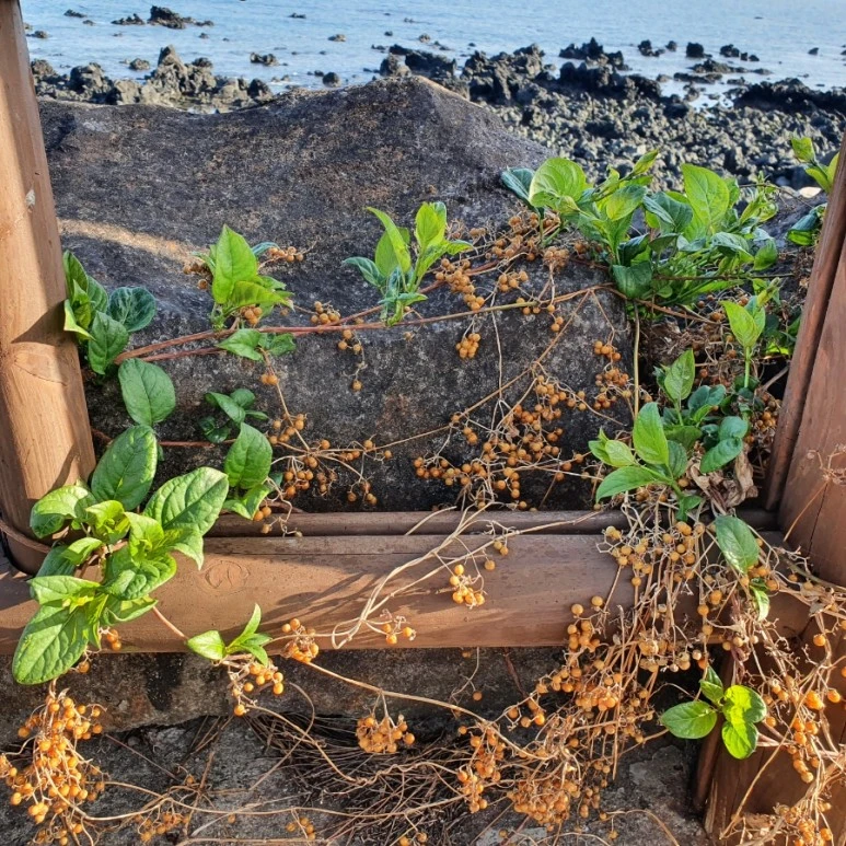 20220408%EF%BC%BF172342.jpg?type=w773