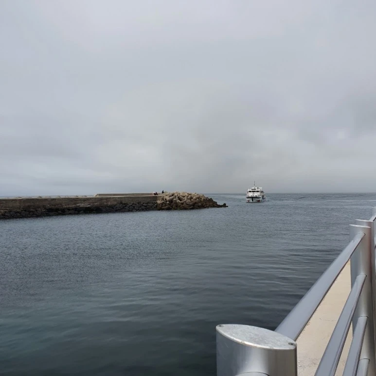 1655179576157.jpg?type=w773