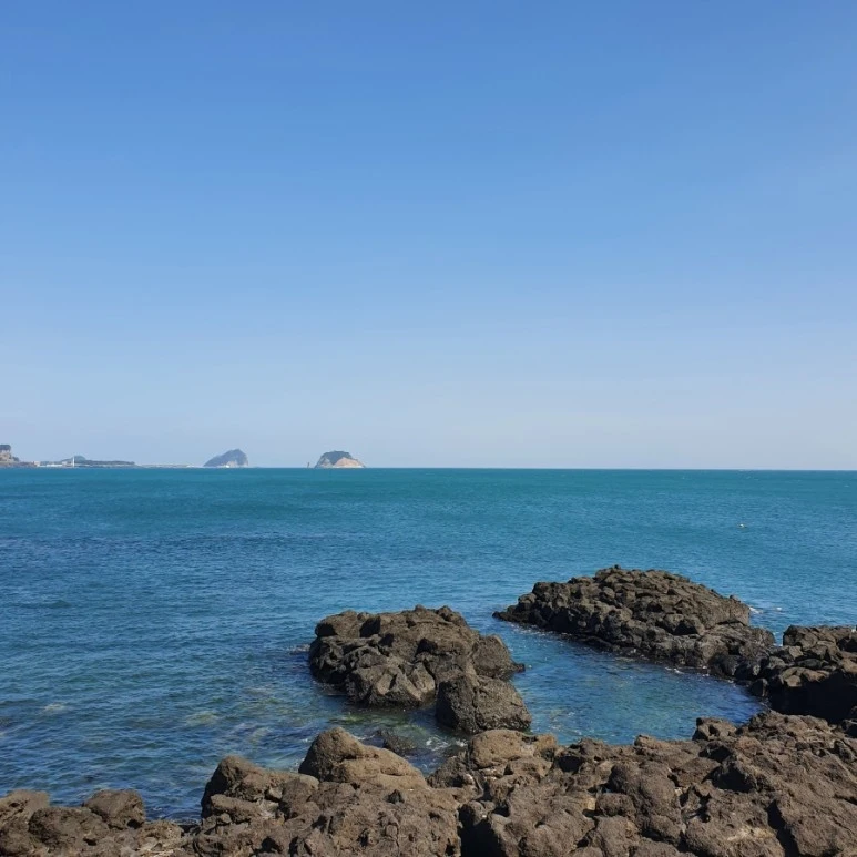 20220327%EF%BC%BF150043.jpg?type=w773