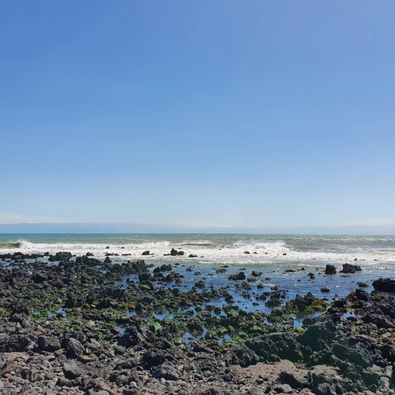 20220326%EF%BC%BF124141.jpg?type=w773