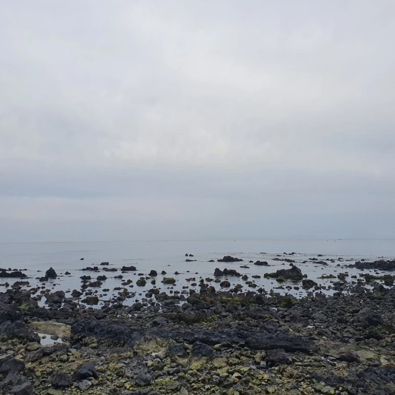 20220418%EF%BC%BF074407.jpg?type=w773