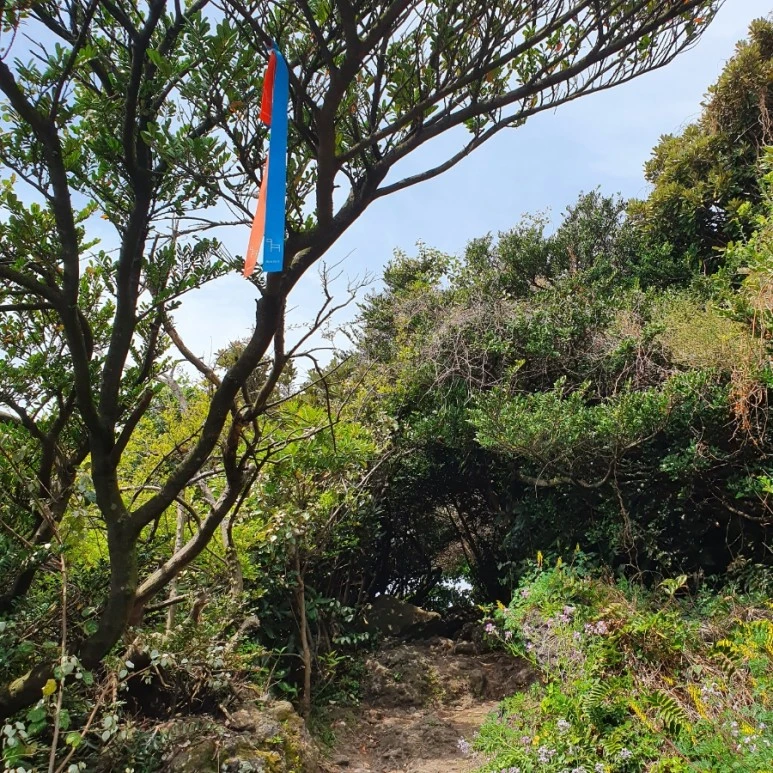 20220410%EF%BC%BF120612.jpg?type=w773