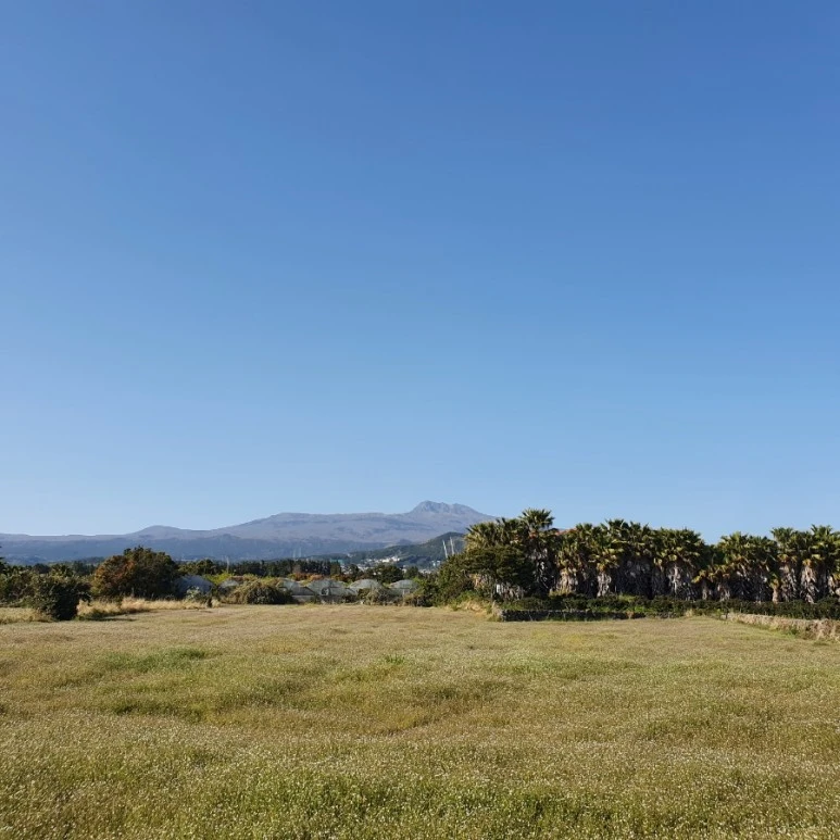 20220409%EF%BC%BF163818.jpg?type=w773