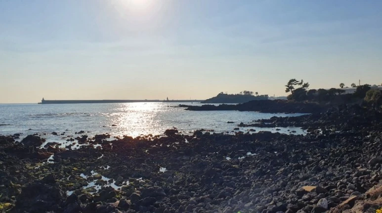 1652244634635.jpg?type=w773