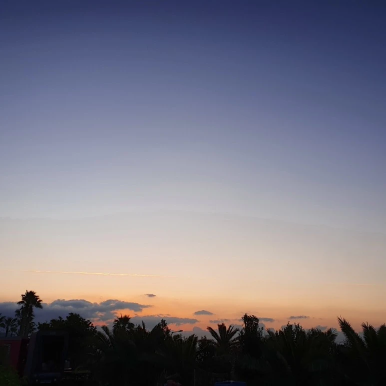 20220401%EF%BC%BF061815.jpg?type=w773