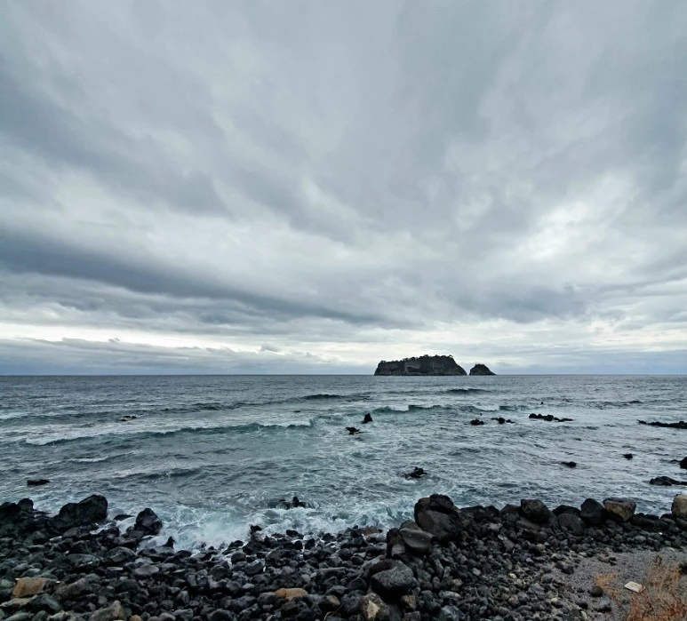 20220318%EF%BC%BF121526.jpg?type=w773