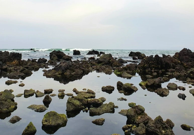 20220415%EF%BC%BF183012.jpg?type=w773