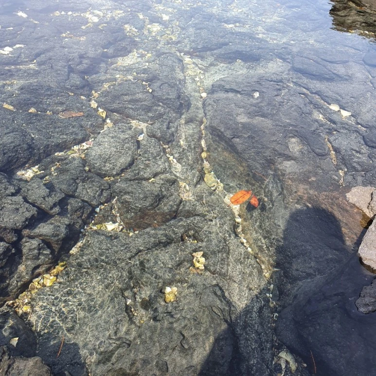 20220402%EF%BC%BF101452.jpg?type=w773