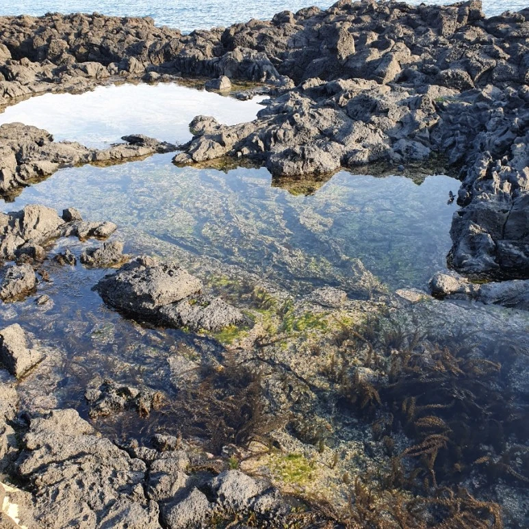 20220402%EF%BC%BF173343.jpg?type=w773