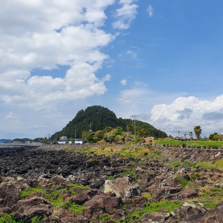 20220413%EF%BC%BF115801.jpg?type=w773