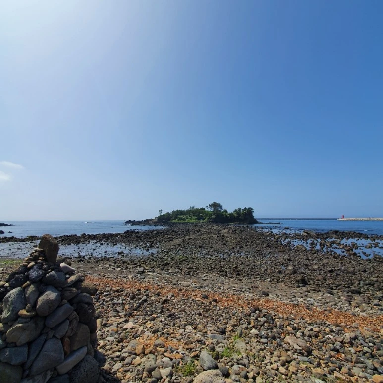 20220424%EF%BC%BF104245.jpg?type=w773