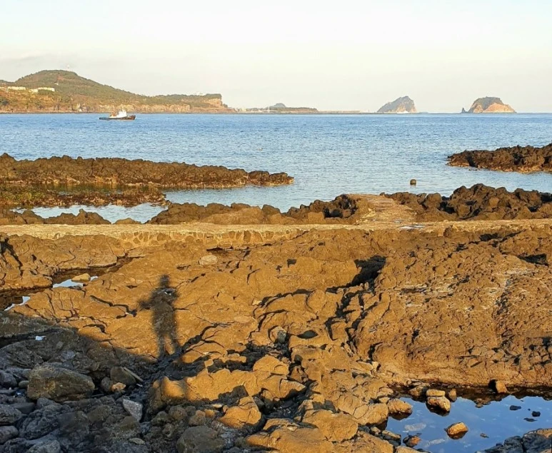 1652679889602.jpg?type=w773