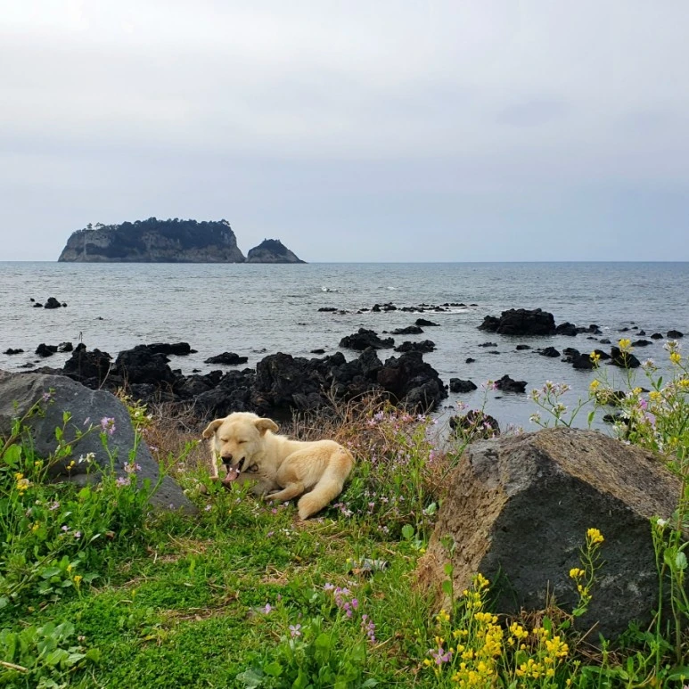 20220328%EF%BC%BF090552.jpg?type=w773