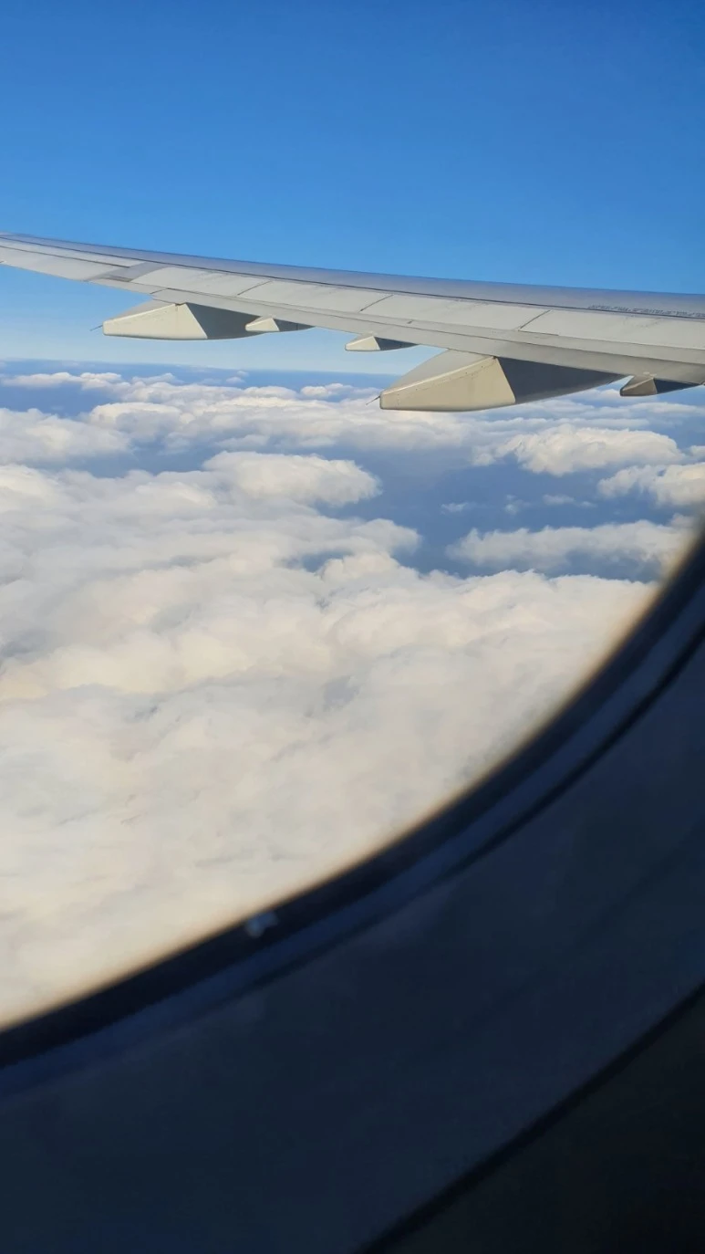 20220221%EF%BC%BF092755.jpg?type=w773