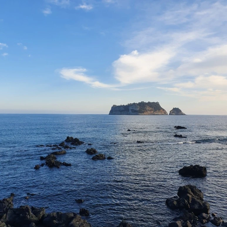 20220315%EF%BC%BF171719.jpg?type=w773