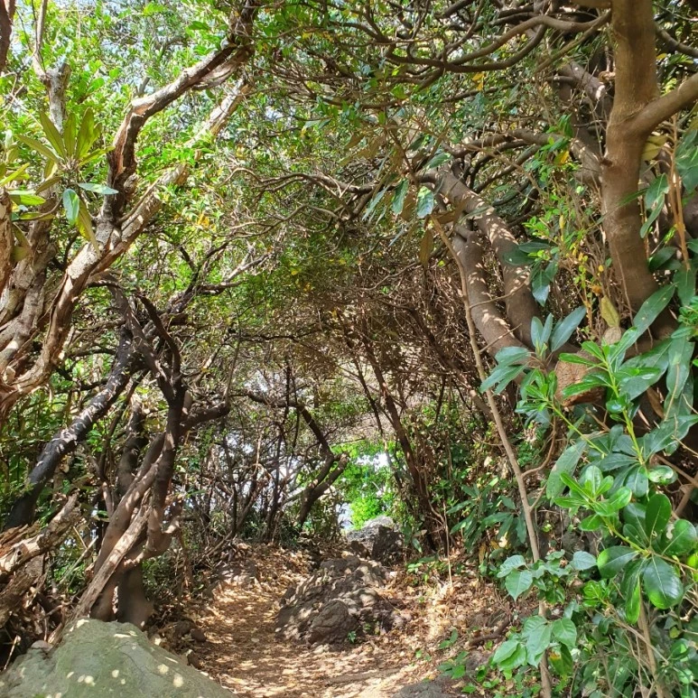 20220424%EF%BC%BF101651.jpg?type=w773