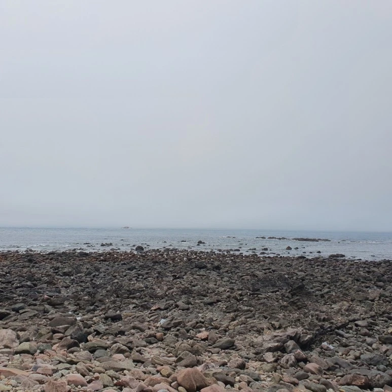 20220412%EF%BC%BF120240.jpg?type=w773