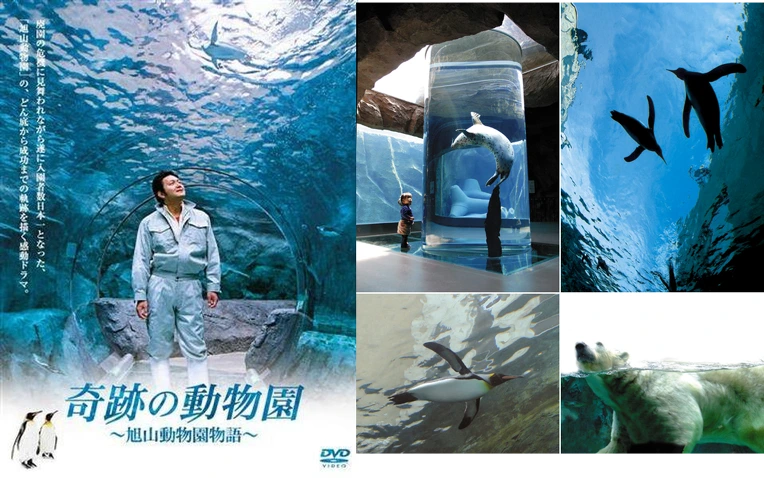 997F86405BC1F73B1D08E4