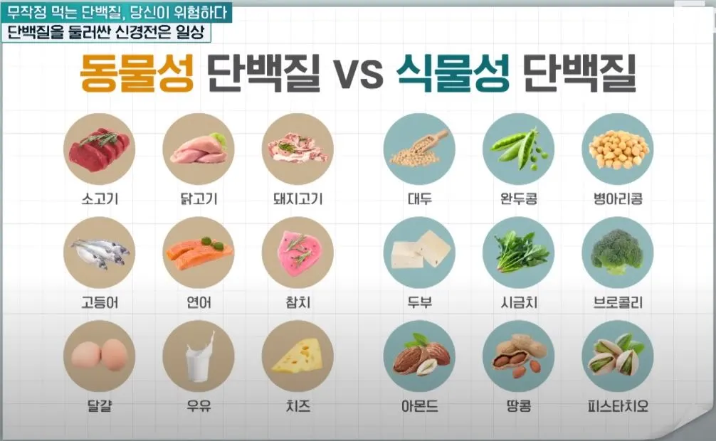 동물성 단백질 식물성 단백질.JPG