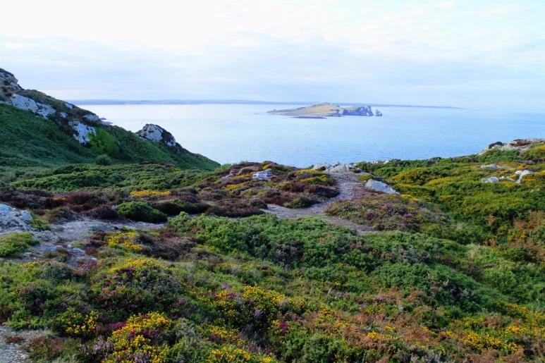 IMG_5474.jpg?type=w773