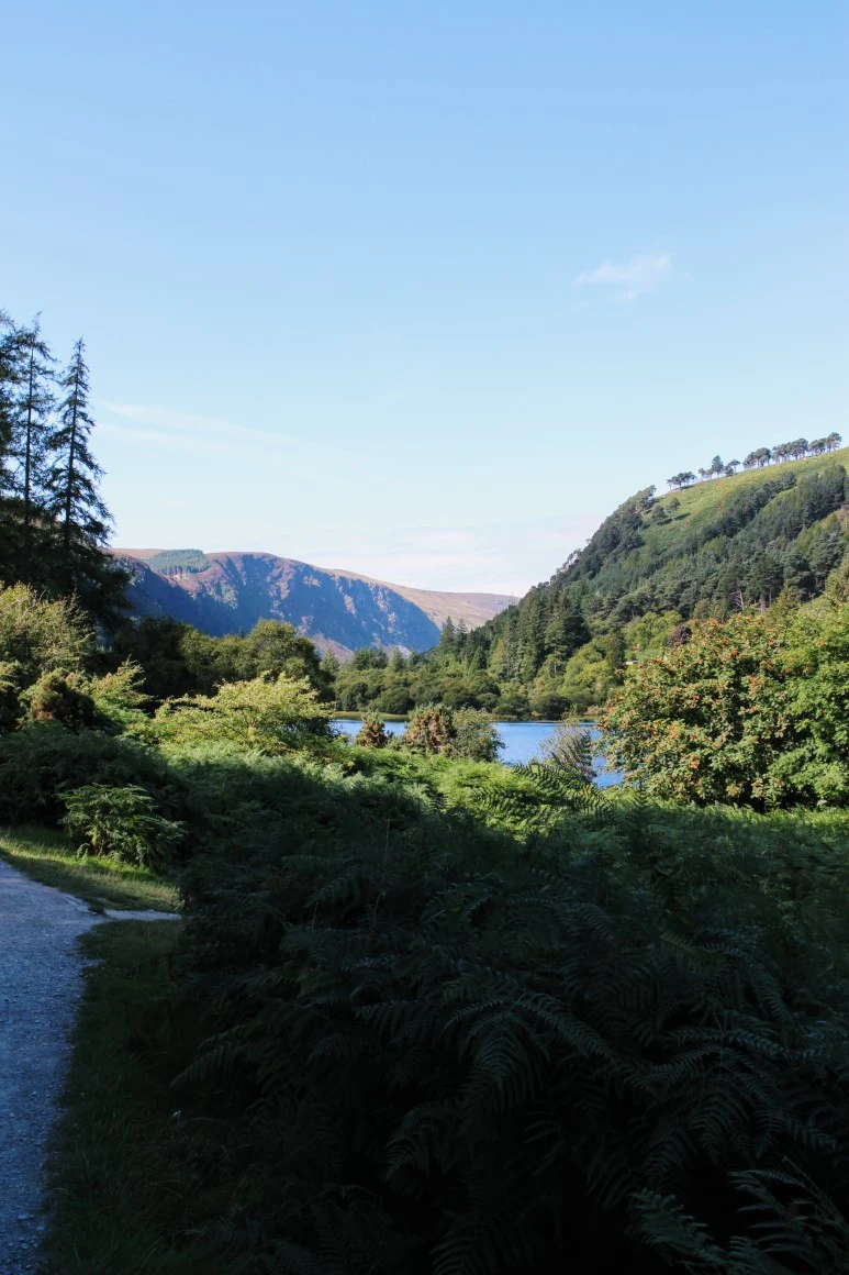 IMG_5589.jpg?type=w773