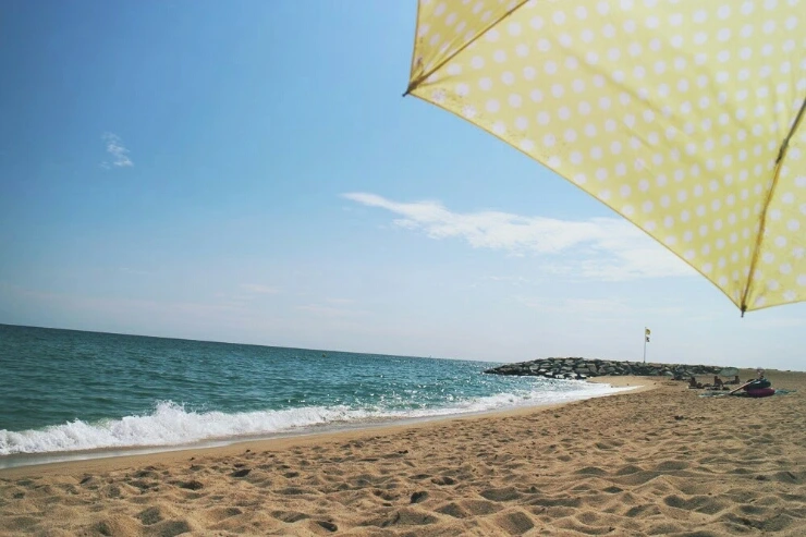 IMG_1411.jpg?type=w1