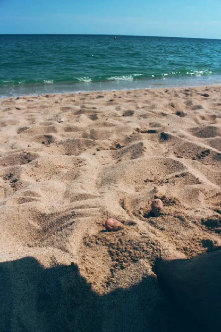 IMG_1406.jpg?type=w1