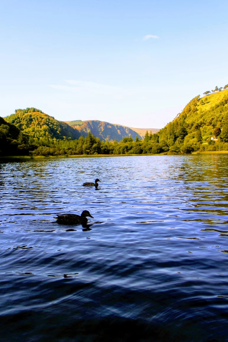 IMG_5601.jpg?type=w773