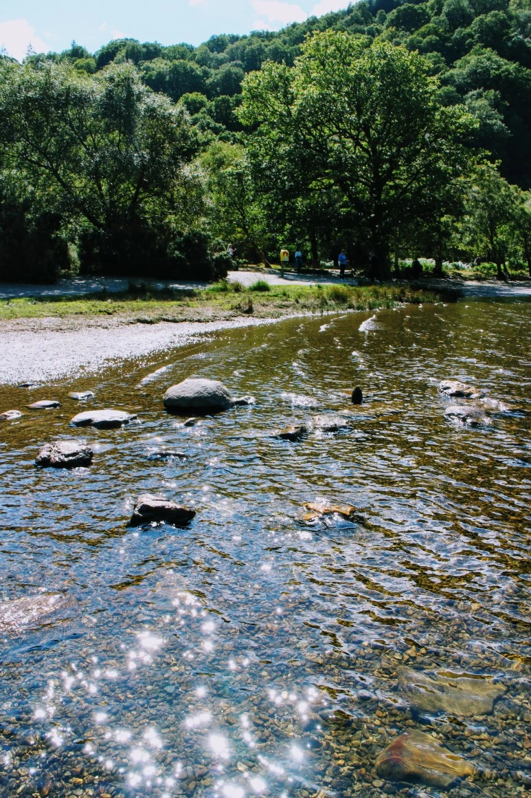 IMG_5667.jpg?type=w773