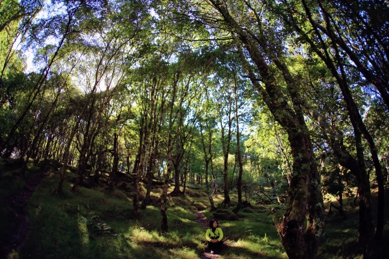 IMG_5777.jpg?type=w773