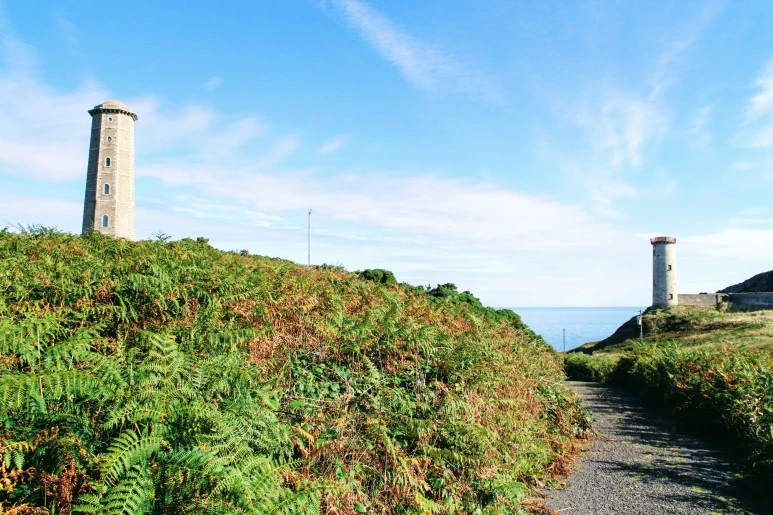 IMG_5575.jpg?type=w773