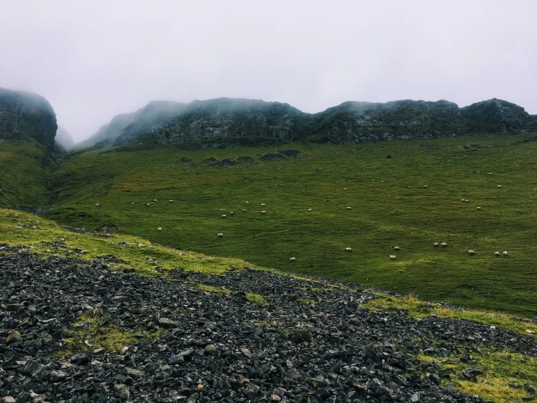 IMG_1237.jpg?type=w773