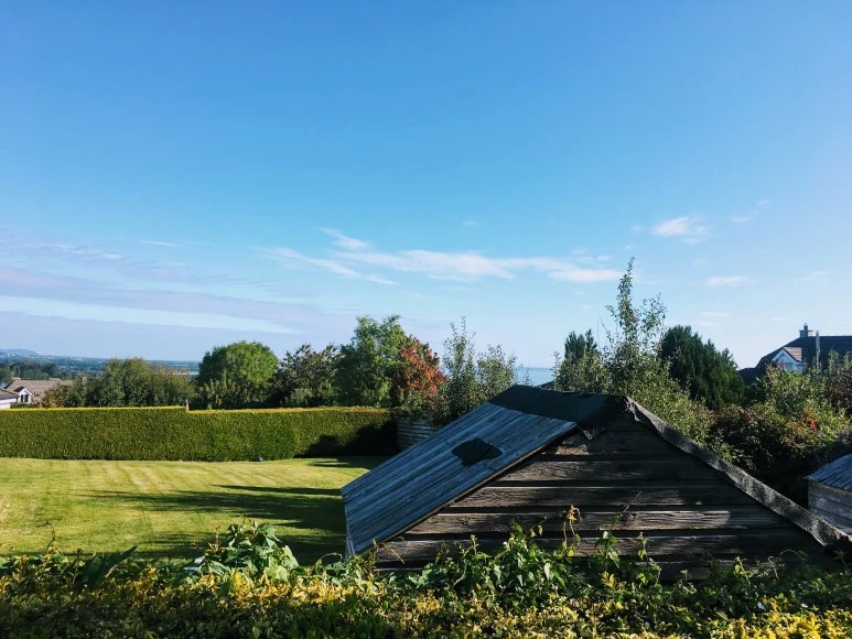 IMG_5449.jpg?type=w773