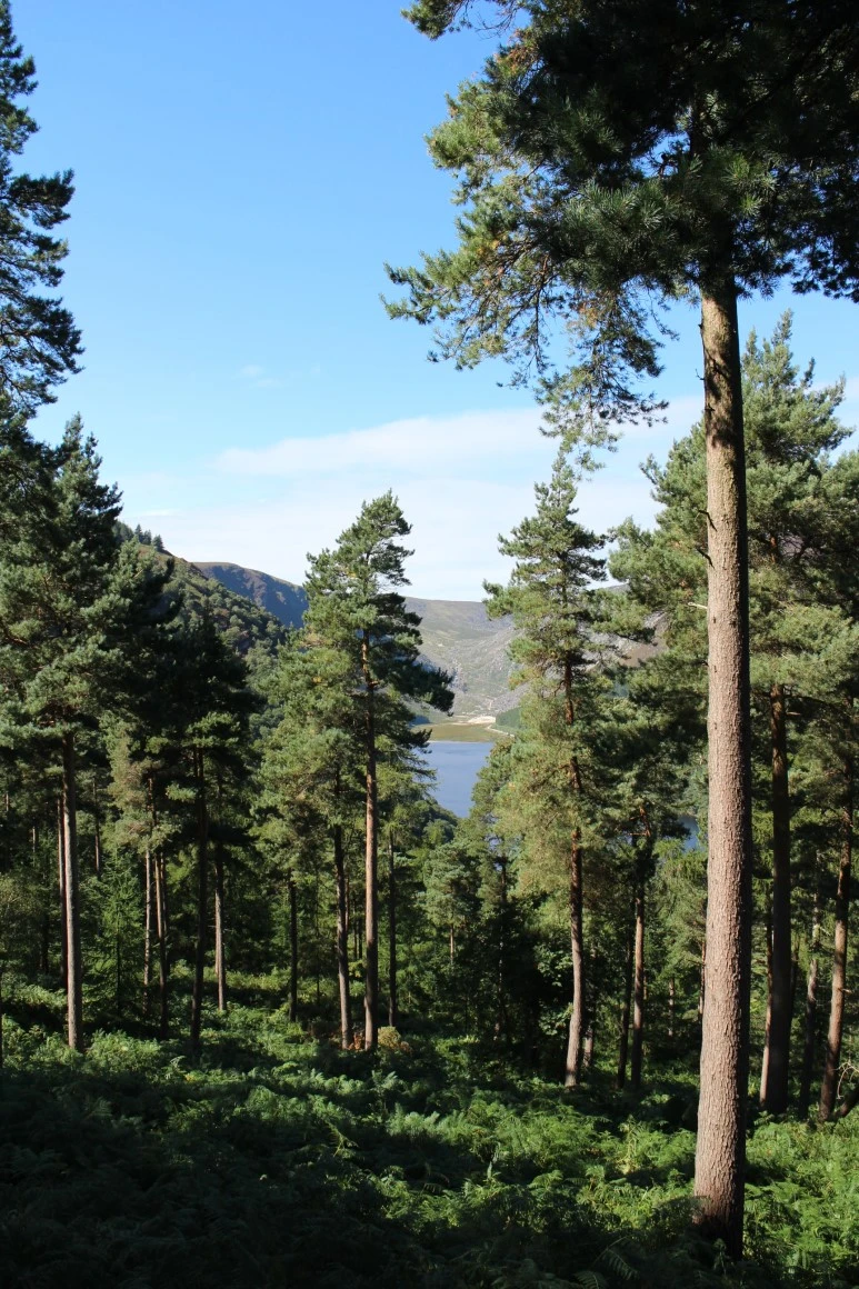 IMG_5629.jpg?type=w773