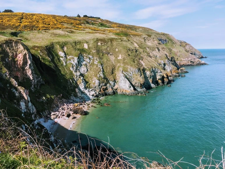 IMG_3936.jpg?type=w773